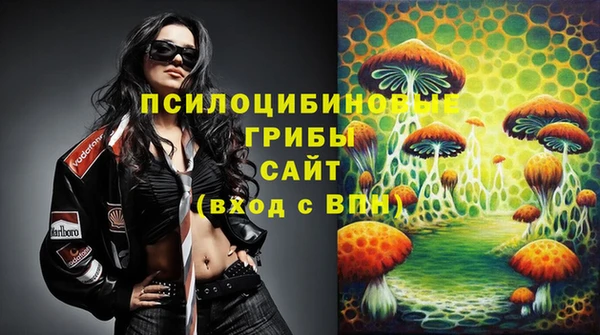 стаф Белокуриха