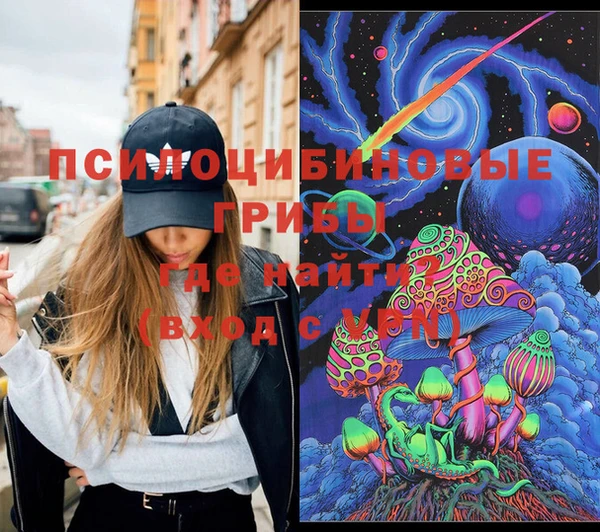 стаф Белокуриха