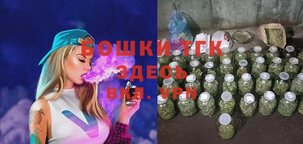 ECSTASY Богородск