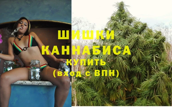 меф Богородицк